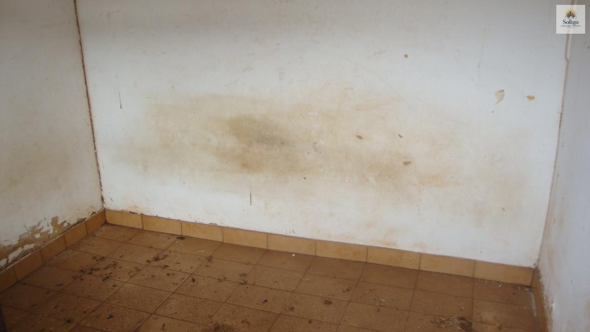 Casa, 4 quartos, 289 m² - Foto 11